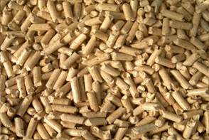 BIOMASAS